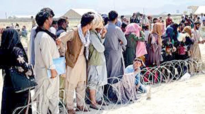 پناهجویان افغان در مرزهای ایران