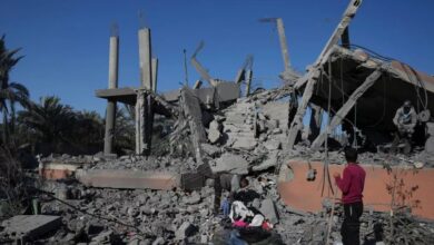 عفو بین الملل