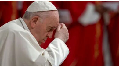 پاپ فرانسیس