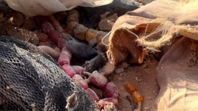 جنایت انفال