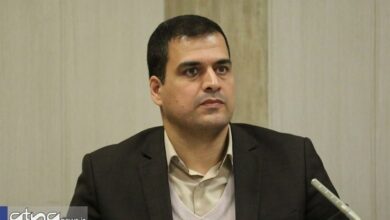 عضو هیات علمی دانشگاه علامه طباطبایی: چرخه بسته تروریسم؛ نتیجه حضور قدرتهای بزرگ در منطقه است