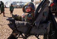 اردوگاه الهول