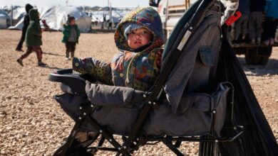 اردوگاه الهول